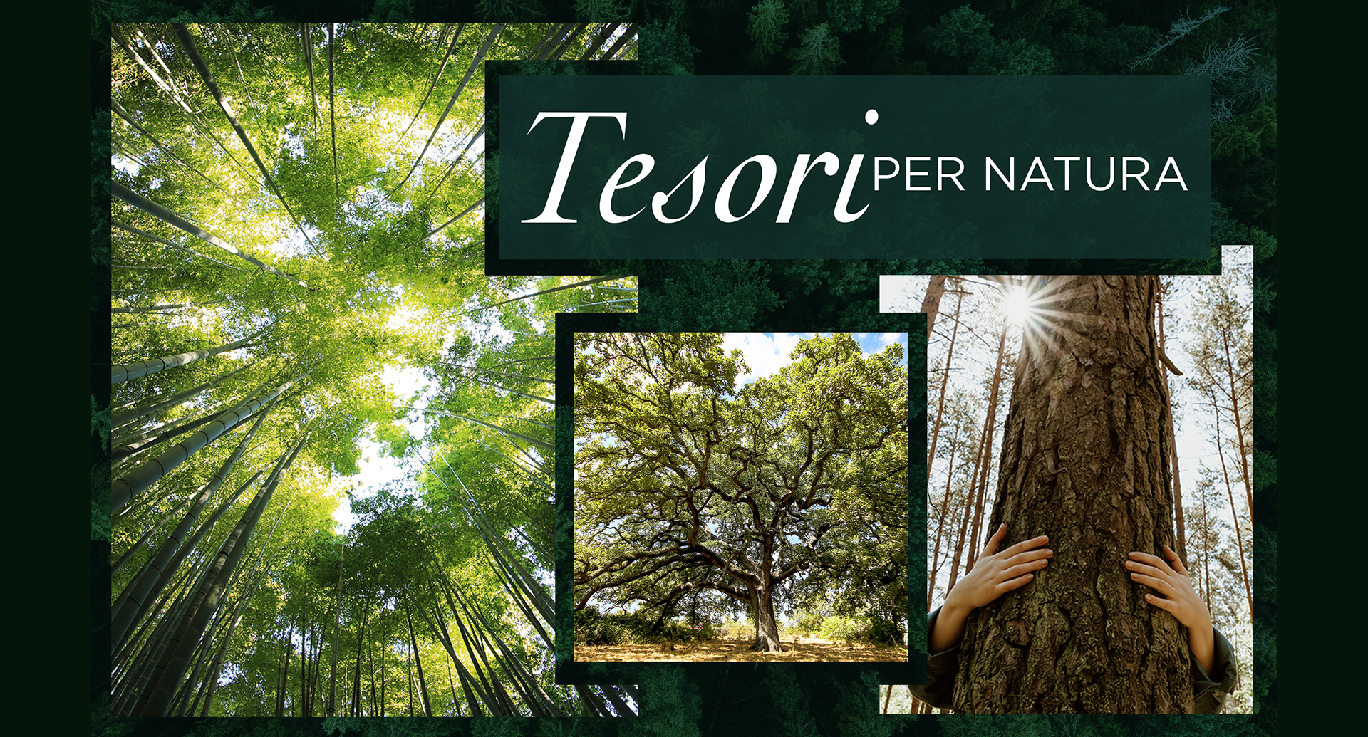 	Tesori d'Oriente protects Italy's natural heritage with the "Tesori per Natura" (Treasures for Nature) project