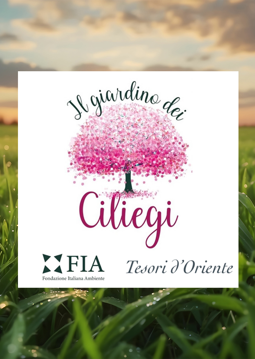 Tesori d'Oriente x Fondazione Italiana Ambiente (Italian Environment Foundation)